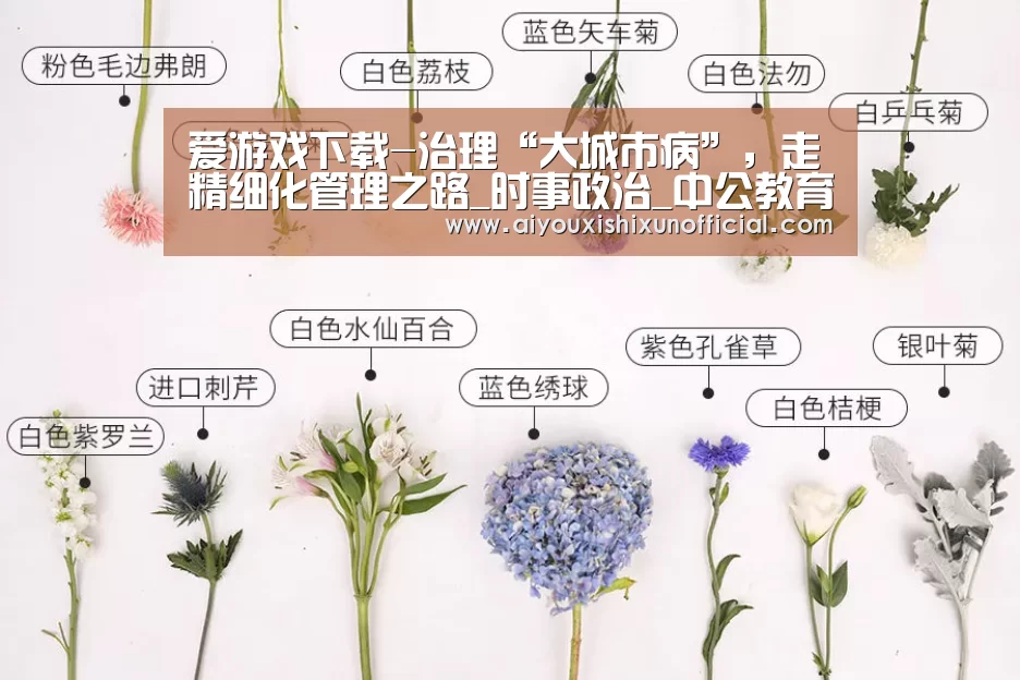 爱游戏视讯
