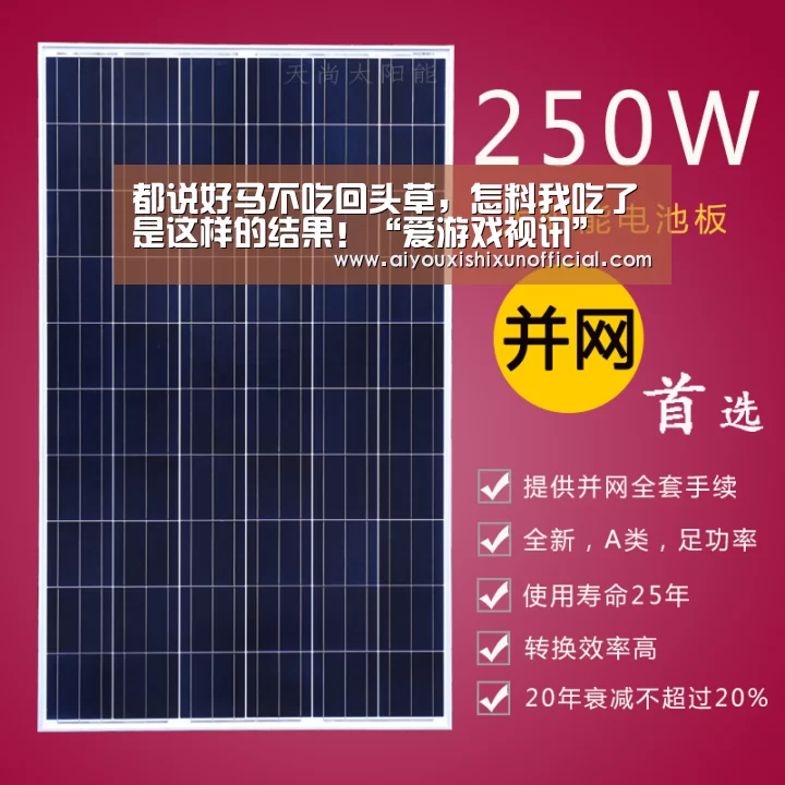 爱游戏赛事