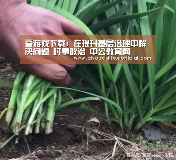 爱游戏下载:在提升基层治理中解决问题_时事政治_中公教育网(图3) 爱游戏赛事
