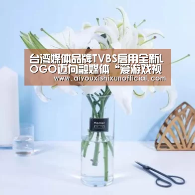 台湾媒体品牌TVBS启用全新LOGO迈向